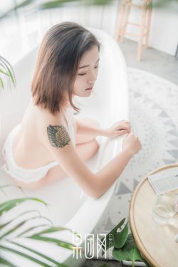 双世宠妃 电视剧
